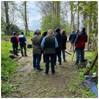 Flightline Sporting  Event Day Crowd 2